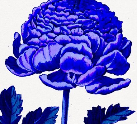 Final Descent Into Vinterjazz